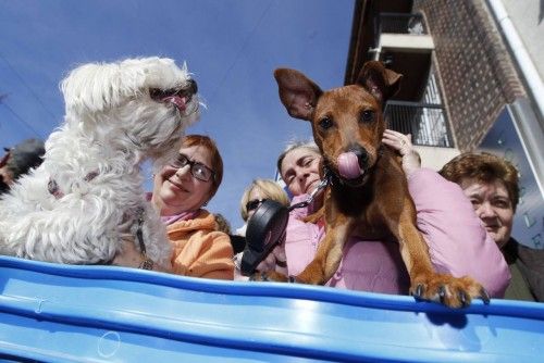 Devotos de dos y cuatro patas