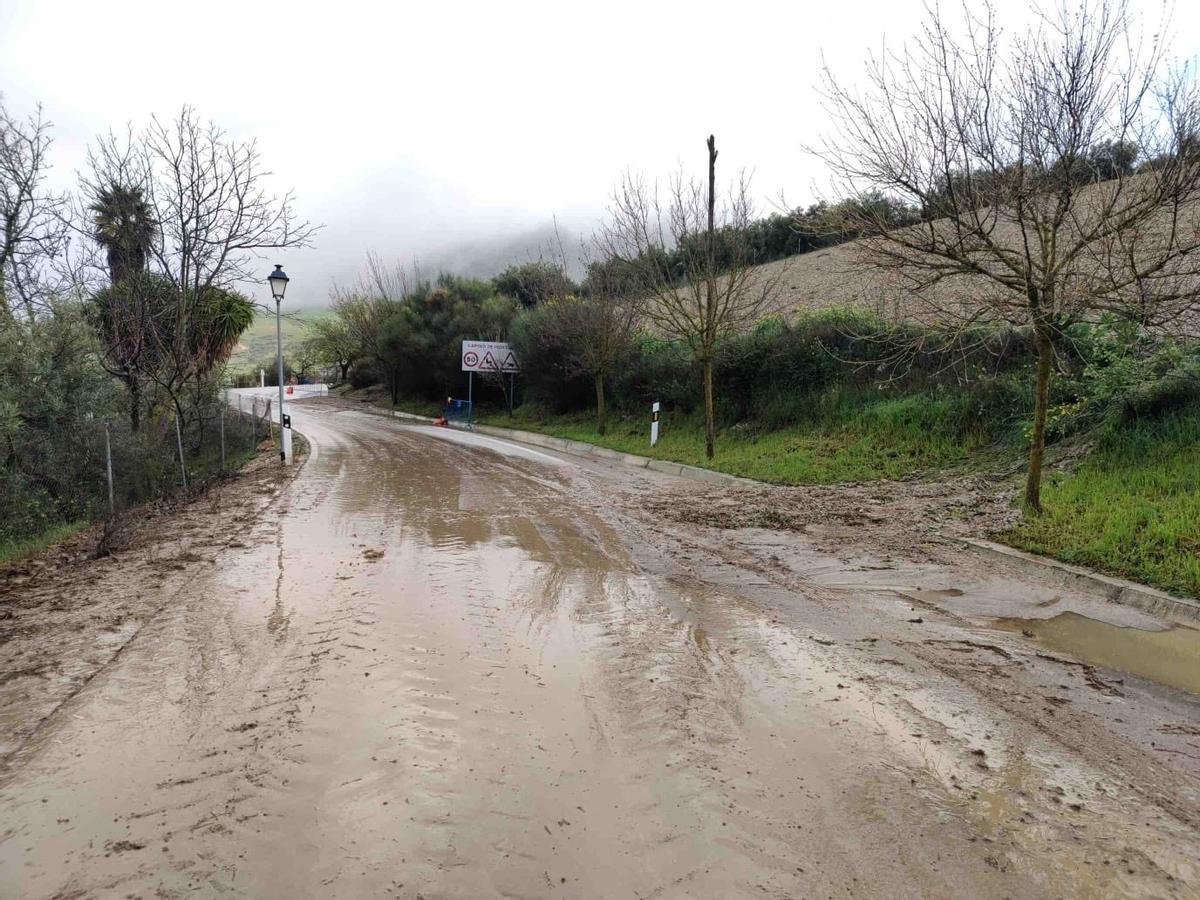 La lluvia ha provocado deslizamientos de tierras y caídas de árboles en Antequera.