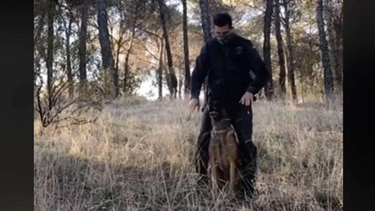 Guardia Civil bailando con un perro.