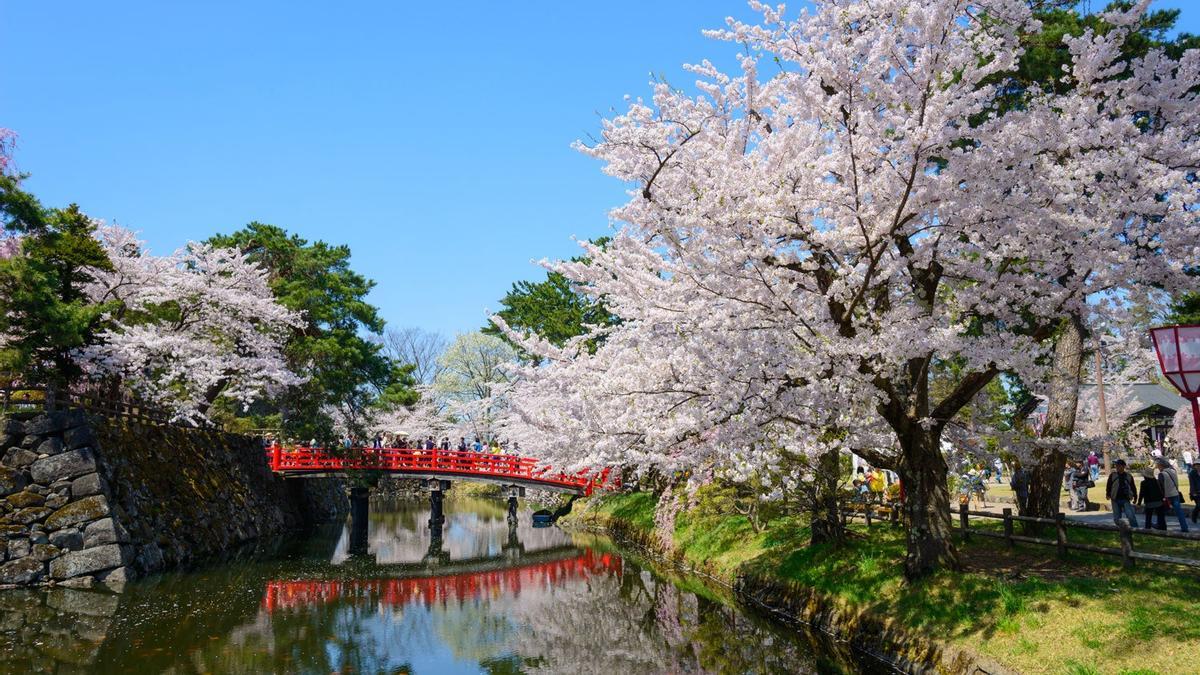 Parque Hirosaki, Japón