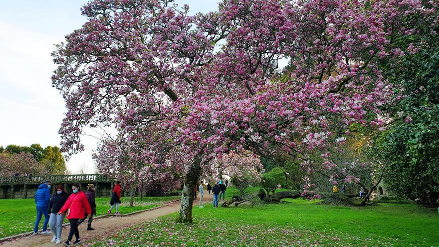 La primavera tiñe Castrelos