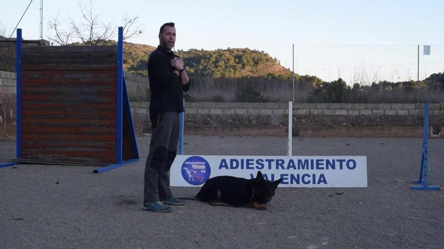 Consejos frente al ataque de un perro peligroso