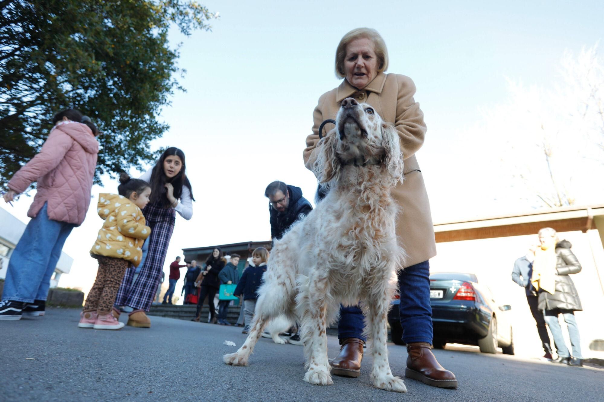 En imágenes: Así fue la bendición de animales por San Antonio en Avilés