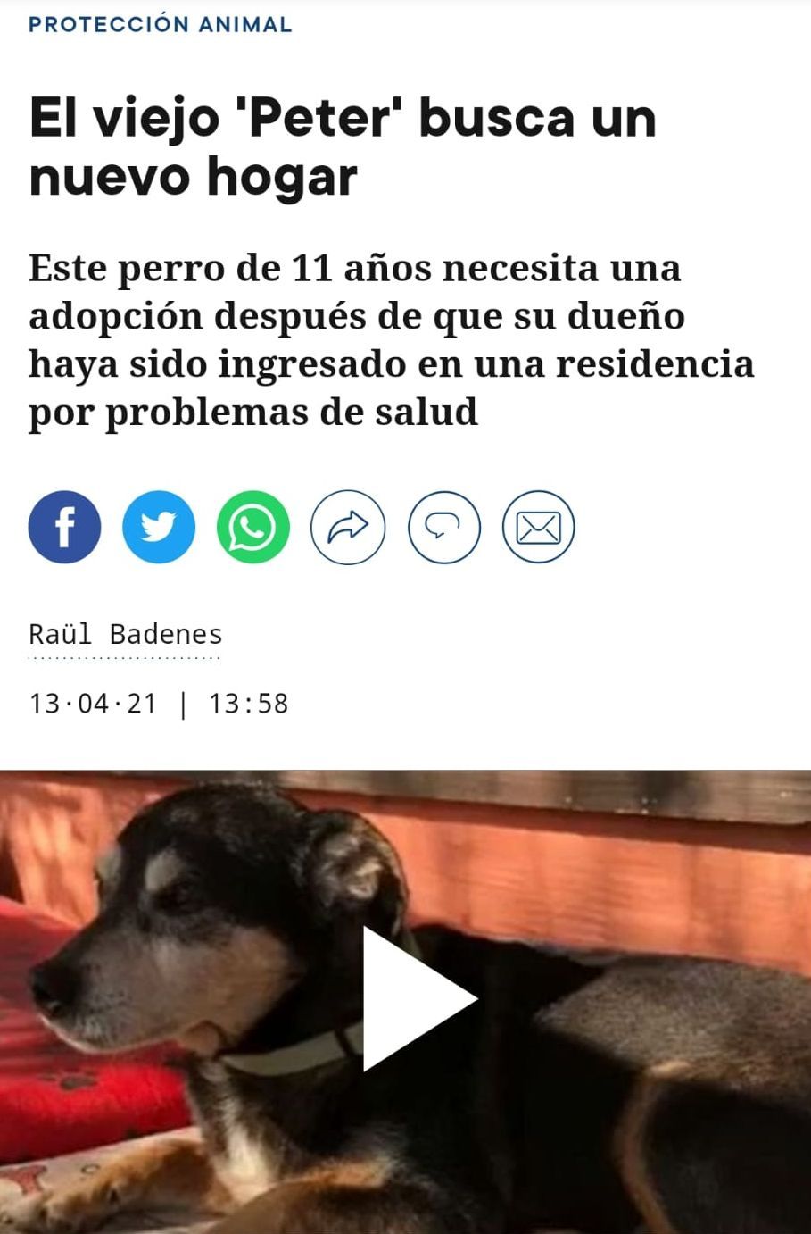 El reportaje sobre &#039;Peter&#039; ha permitido a este perro de 11 años encontrar nuevo hogar