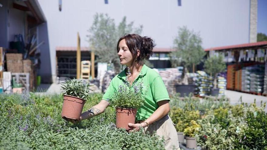 Centre Verd reforça la seva aposta per les plantes aromàtiques i culinàries amb assessorament especialitzat