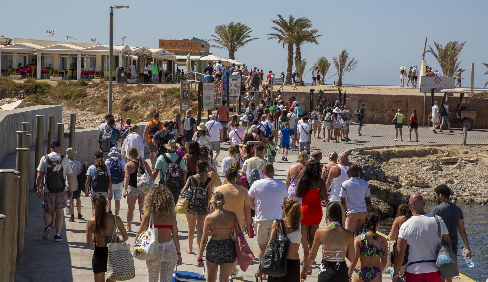 Tabarca, al 100% este verano