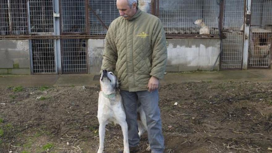 Un vecino de Prado Concejo lanza una llamada de socorro para evitar sacrificar 18 perros