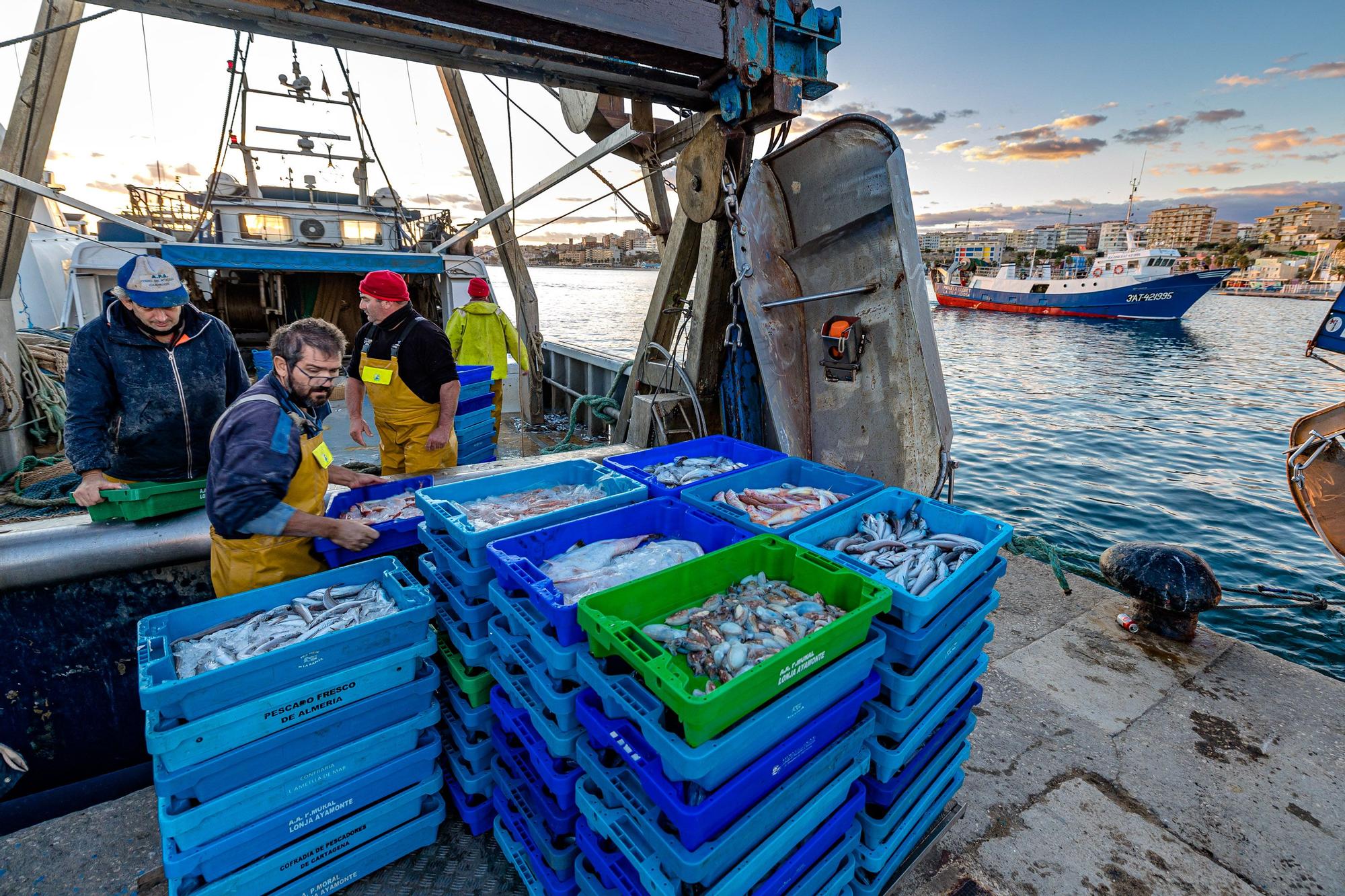 Pesca y Turismo en Villajoyosa