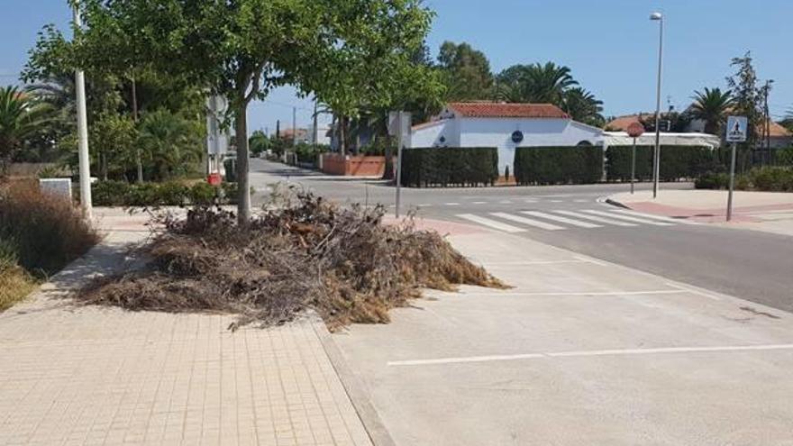 Restos de poda «olvidados» en una acera.