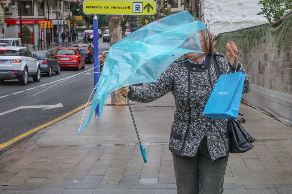 Las fuertes rachas de viento han provocado la caída de cascotes, árboles y toldos en la Vega Baja y la intervención de la Policía Local y Bomberos en Torrevieja y Orihuela