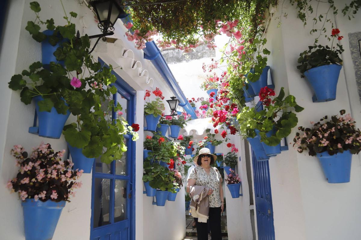 Once recintos institucionales abren sus puertas durante el concurso hasta el 17 de mayo Once recintos institucionales abren sus puertas durante el concurso hasta el 17 de mayo