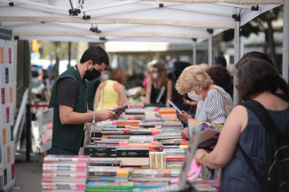 Sant Jordi d'estiu a Barcelona