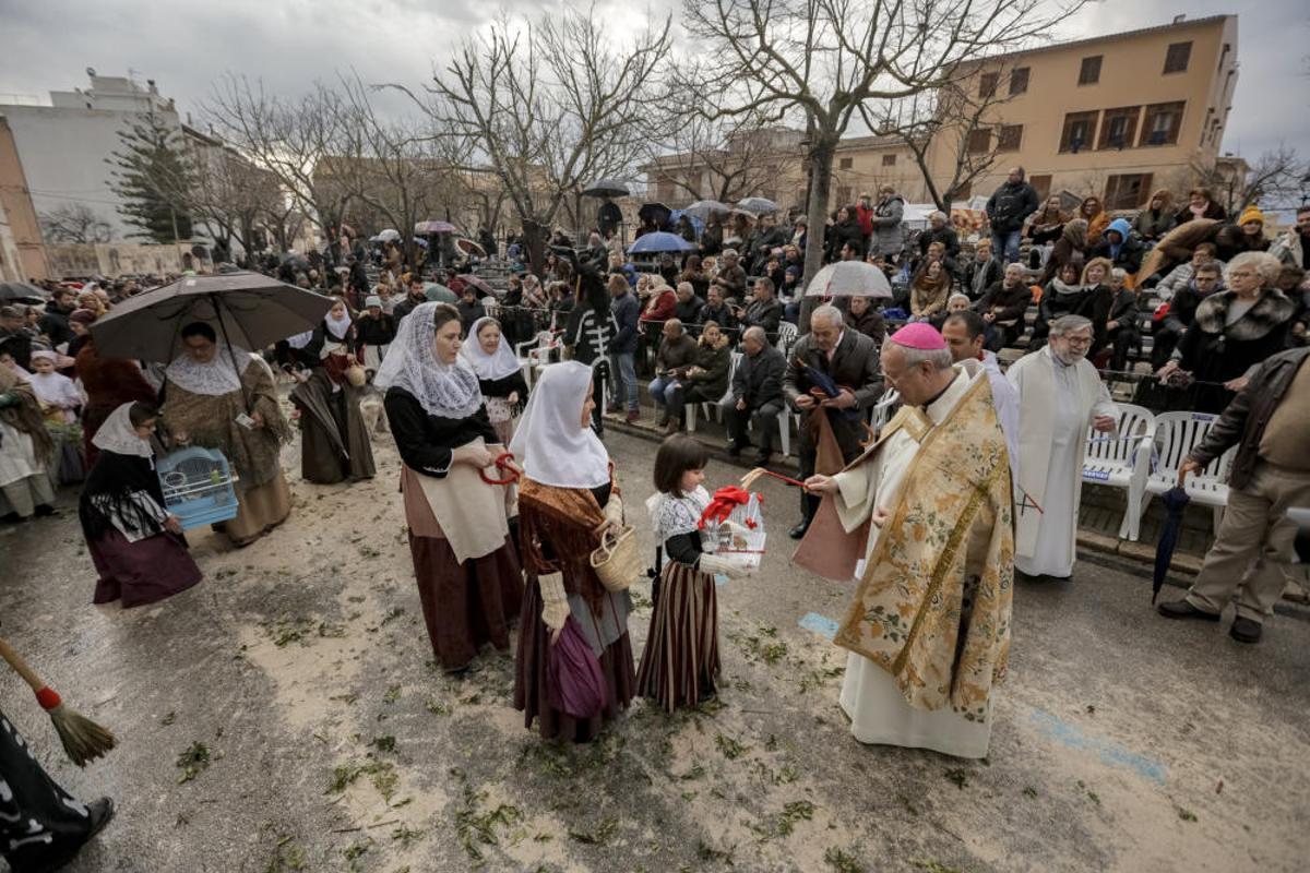 Beneïdes de Muro bajo la lluvia en 2019