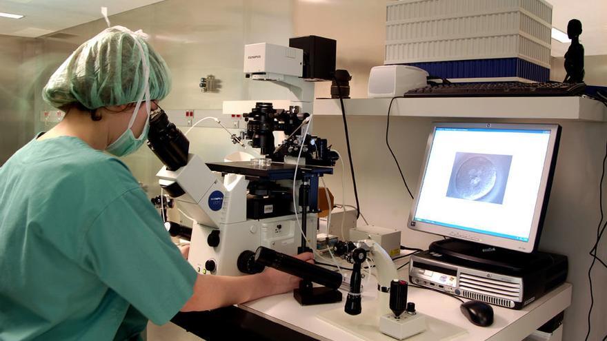 Una trabajadora de una unidad de reproducción analiza una muestra.