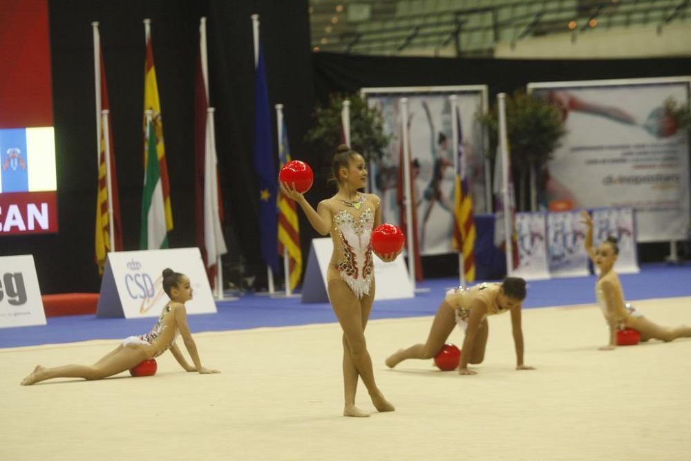 Campeonato de gimnasia rítmica (09/11)