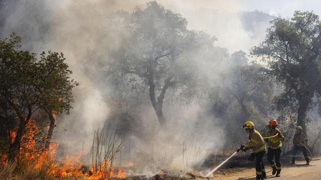 Bombers treballen en un dels focus de l’incendi a la localitat de Calonge després de l’incendi forestal que va començar a la Bisbal de l’Empordà.