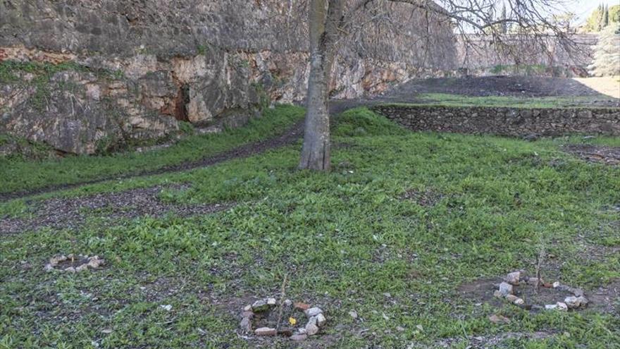 Los árboles plantados junto a la muralla serán retirados