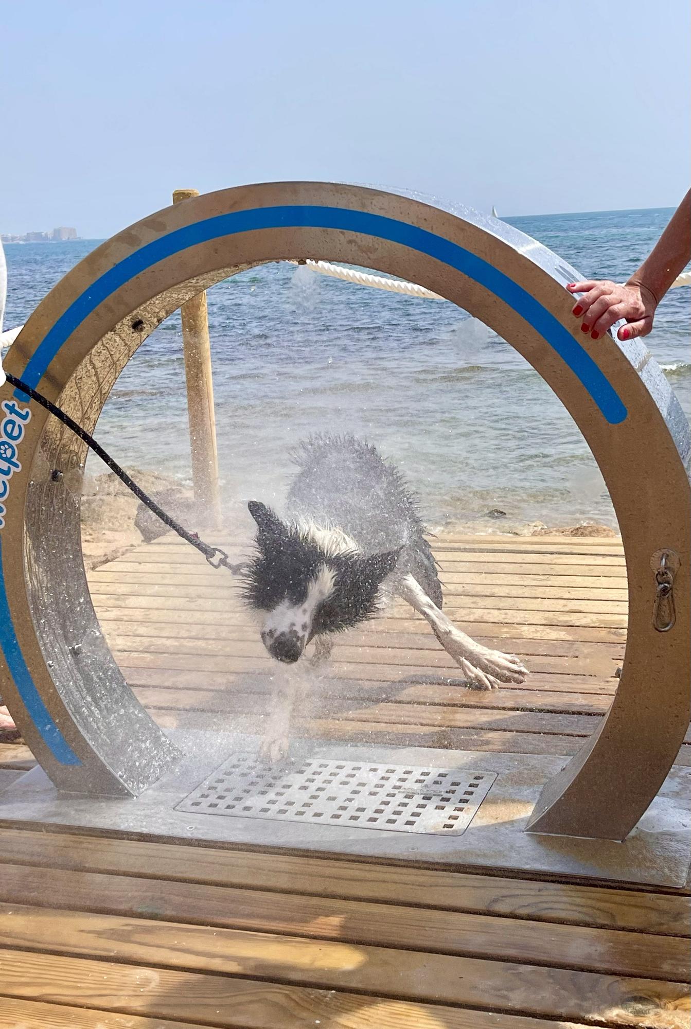 Ducha para perros en la playa canina de Torrevieja