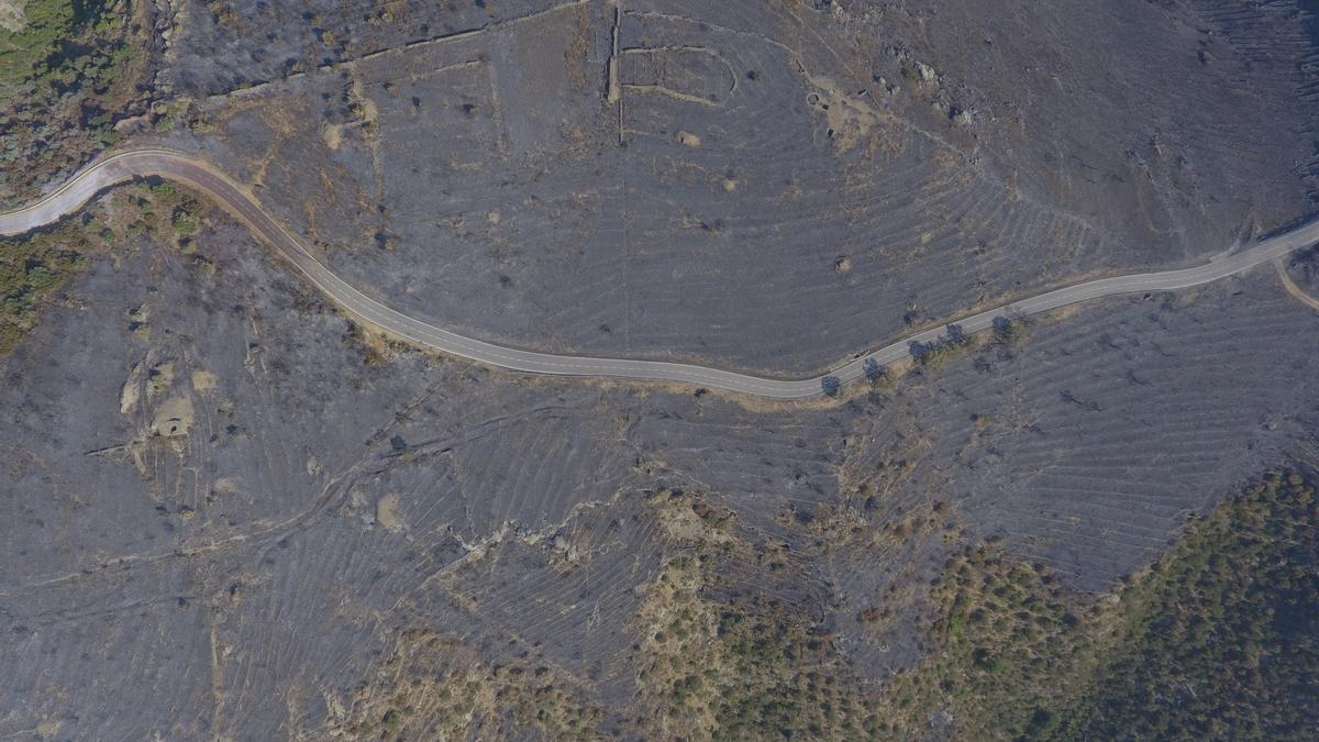 La carretera que va del Port de la Selva a Sant Pere de Rodes amb els marges cremats el 21 de juliol de 2021