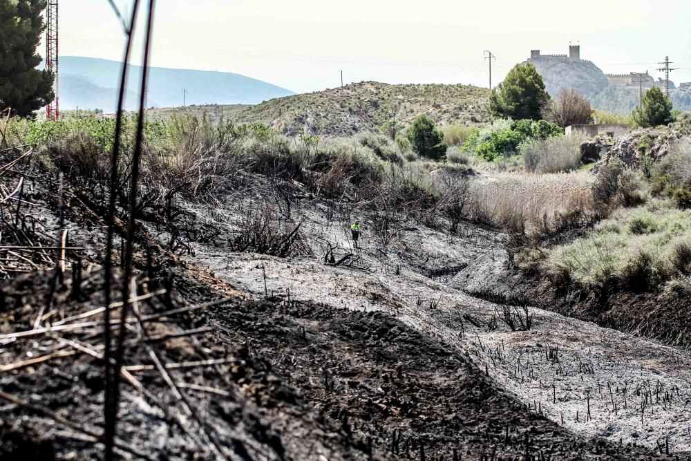 El fuego calcinó 20.000 metros cuadrados de matorral la noche del miércoles