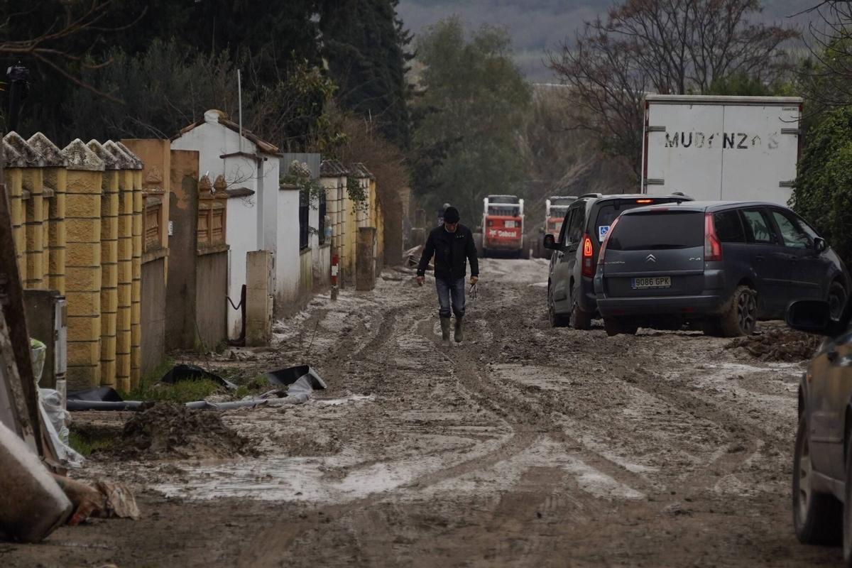 Cordoba - Guadalvalle . Servicios de limpieza de las parcelaciones después de las borrascas leonardo y marta