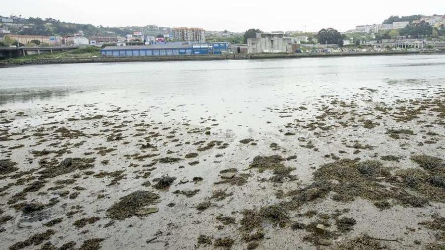 Imagen actual de la ría de O Burgo, en el lateral del municipio de Oleiros.