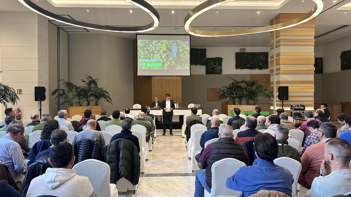 Ibedrola reafirma su compromiso con la transición energética y descarbonización de la economía