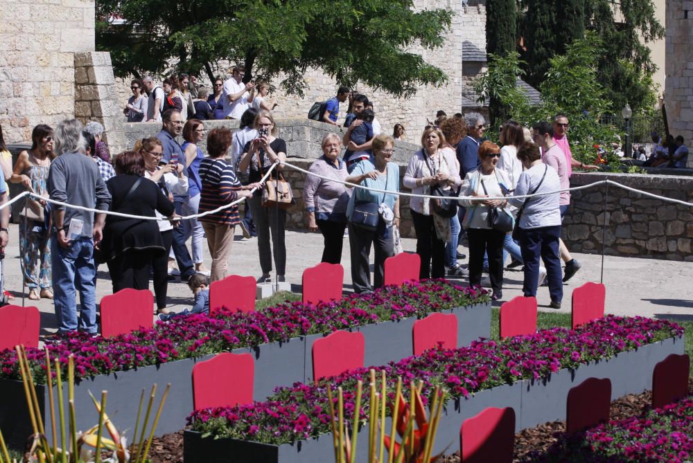 Temps de Flors