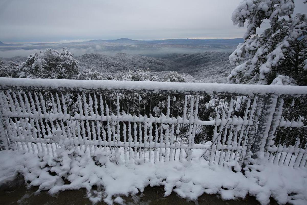 La nieve llega a Barcelona: Collserola, cubierta de blanco