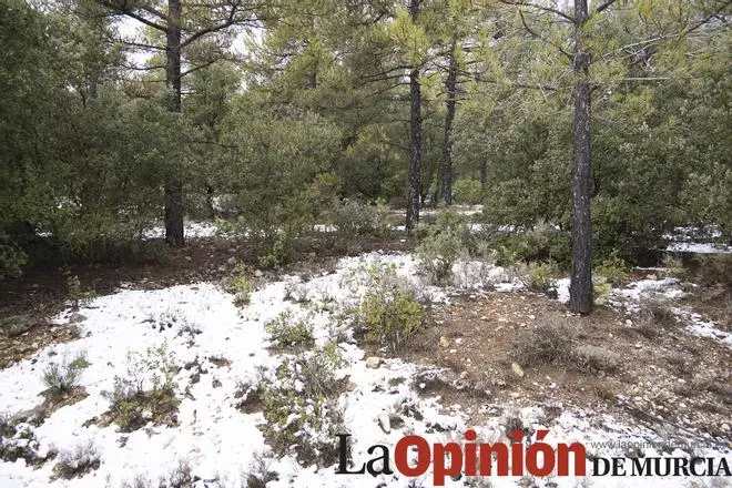 Nieve en las proximidades de Revolcadores en Moratalla