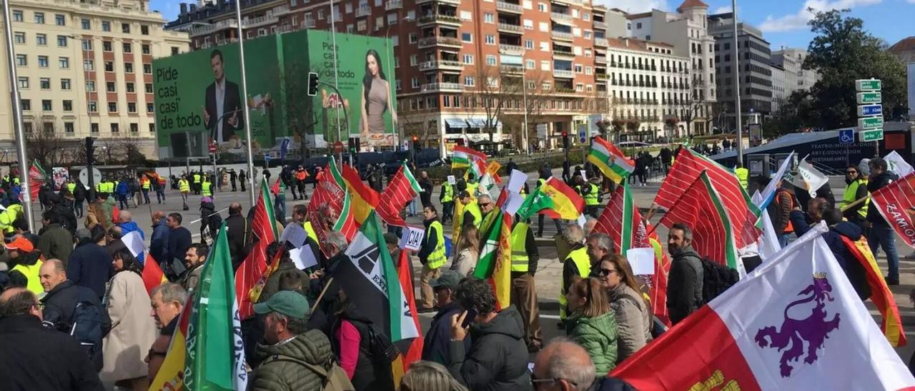 Los agricultores zamoranos se hacen escuchar en Madrid