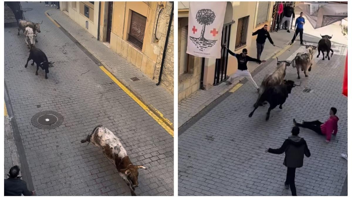 La Salzadella ha vivido este miércoles la primera entrada de vacas de sus fiestas de Sant Blai.