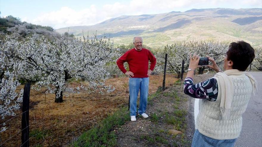 La diputación y la doctora Delicias Muñoz recogen hoy las Cerezas de Oro