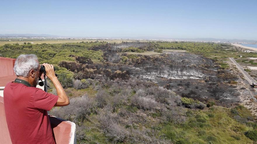 Así ha quedado la Devesa del Saler tras el devastador incendio del jueves