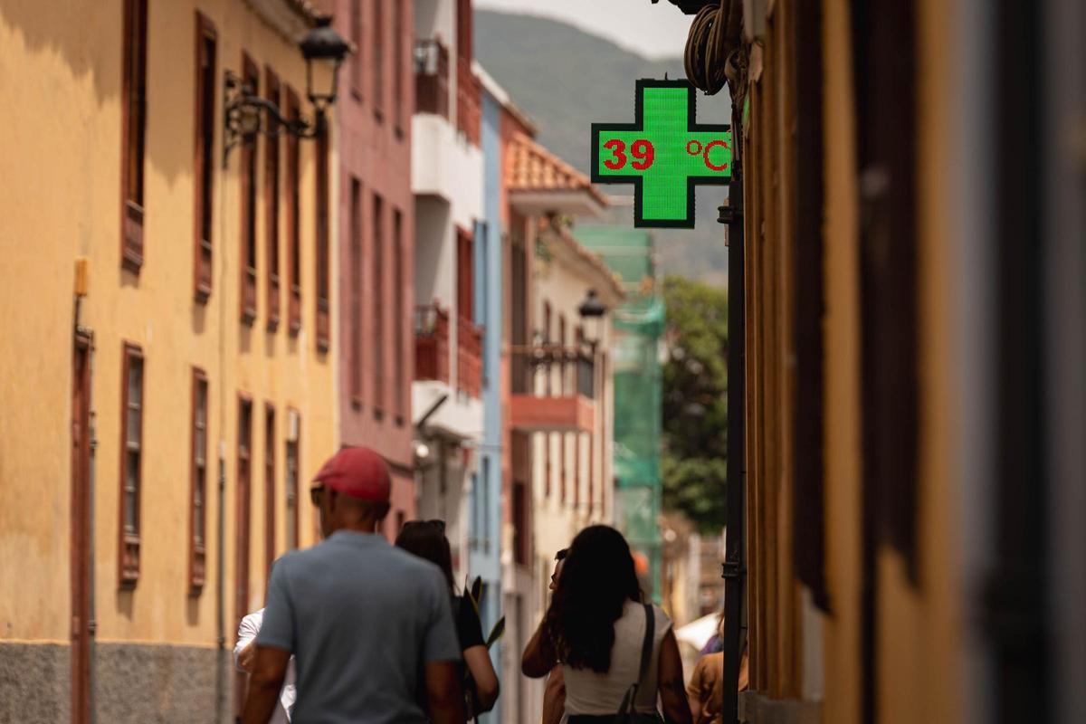 Personas paseando por La Laguna este sábado, 1 de agosto, durante una ola de calor