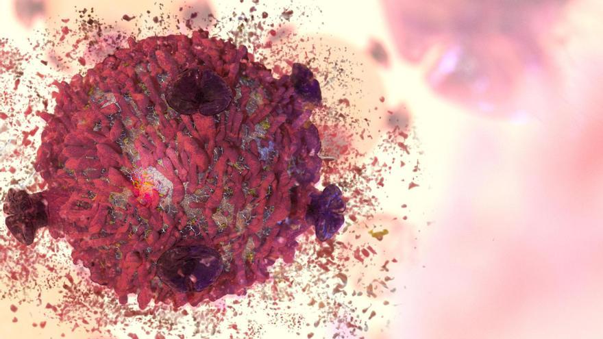 Un estudio descubre cómo las células tumorales resisten a la inmunoterapia