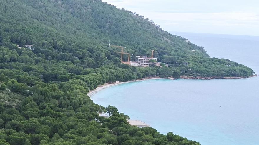 Fent i Desfent | Esta es la cantidad de pinos que quieren talar en Formentor