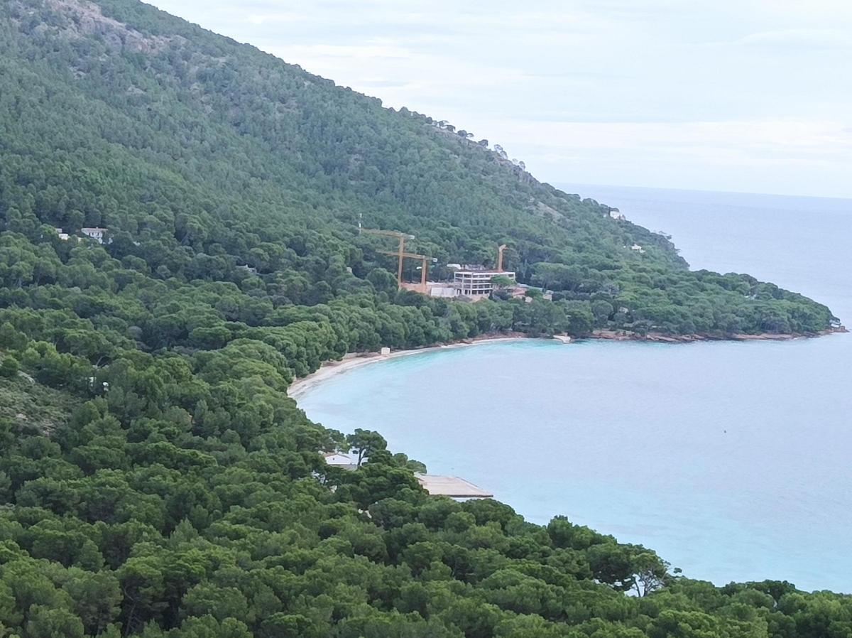 El entorno del Hotel Formentor se caracteriza por la gran densidad del pinar mediterráneo.