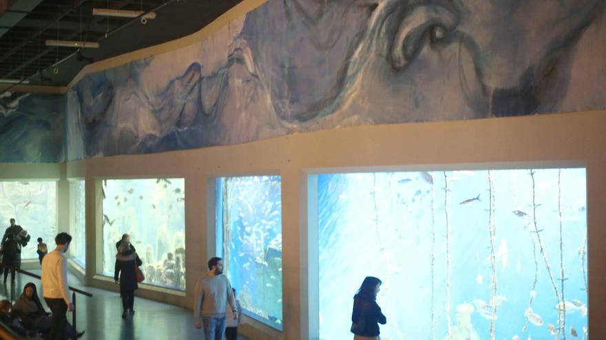 Un mural de 60 metros de largo conmemora el 25 aniversario del Aquarium de A Coruña