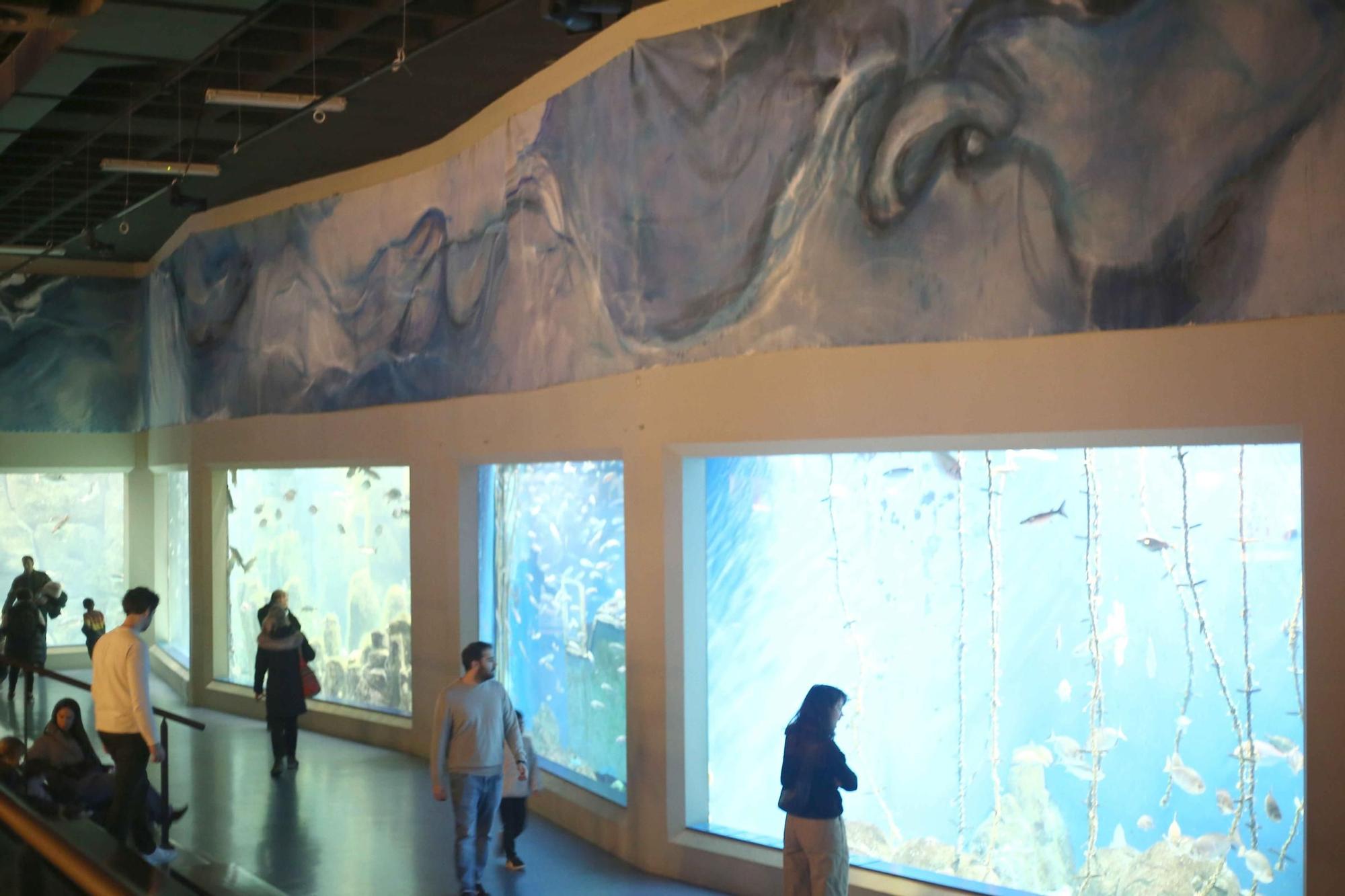 Un mural de 60 metros de largo conmemora el 25 aniversario del Aquarium de A Coruña