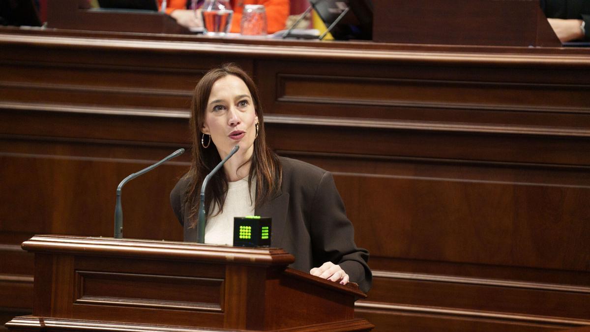 La diputada del grupo socialista canario, Nira Fierro .
