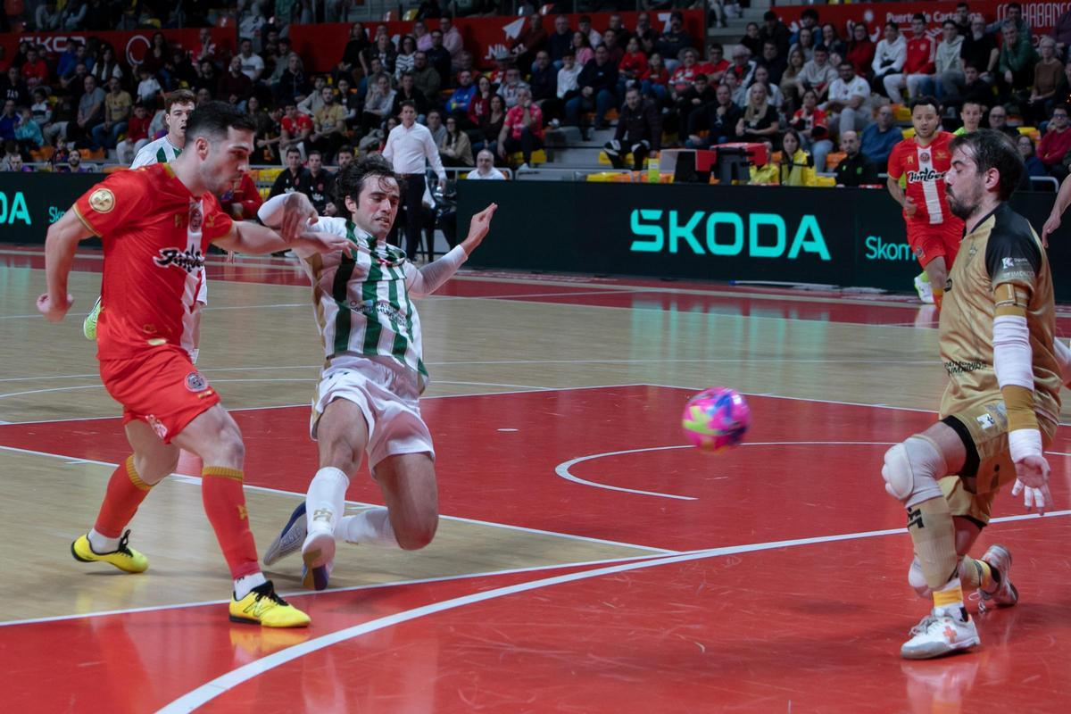 Las imágenes de la derrota de Jimbee Cartagena frente a Córdoba Las imágenes de la derrota de Jimbee Cartagena frente a Córdoba