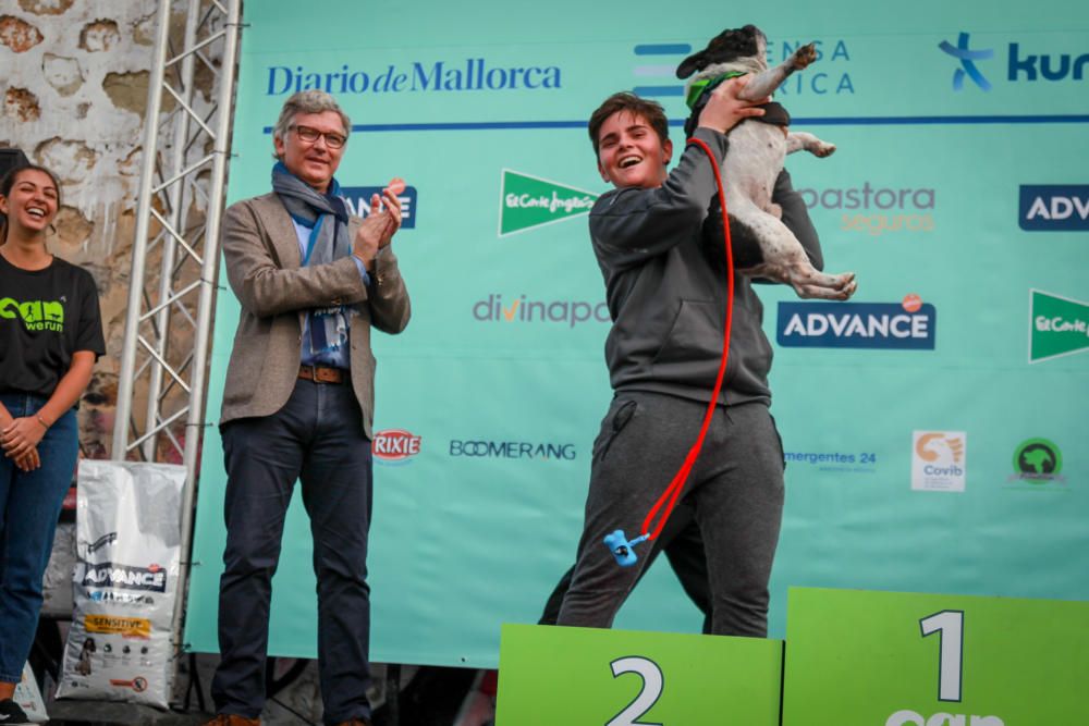 Can We Run Mallorca: So war das Hunderennen