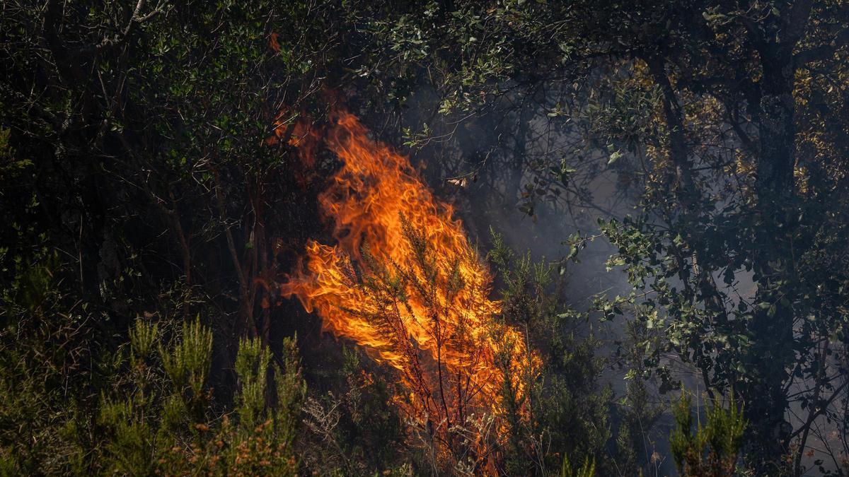 Flames a l'incendi de la Bisbal