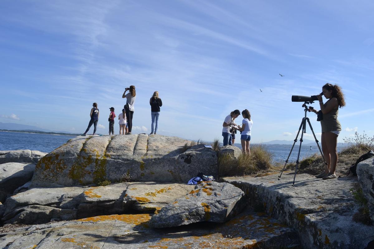 Observación de mamíferos marinos desde tierra firme.