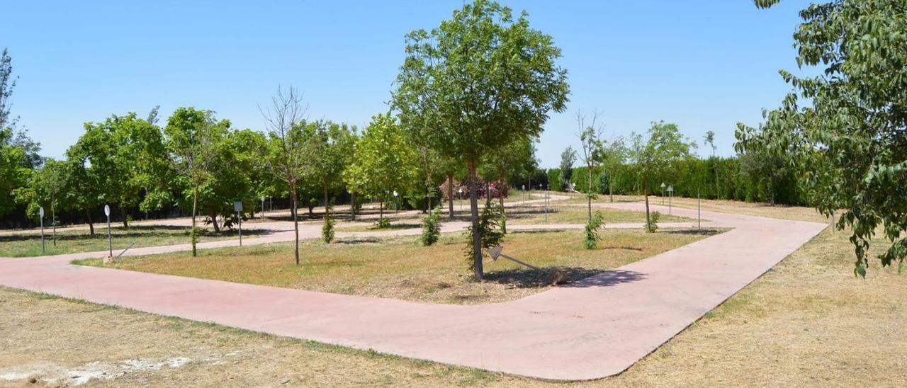 Terreno en el que se construirá la piscina municipal, en el recinto de las instalaciones deportivas.