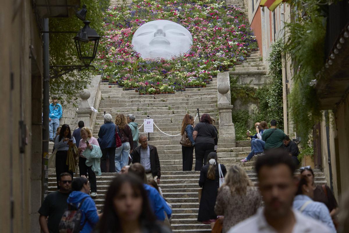 Les imatges de l'últim dia de Temps de Flors