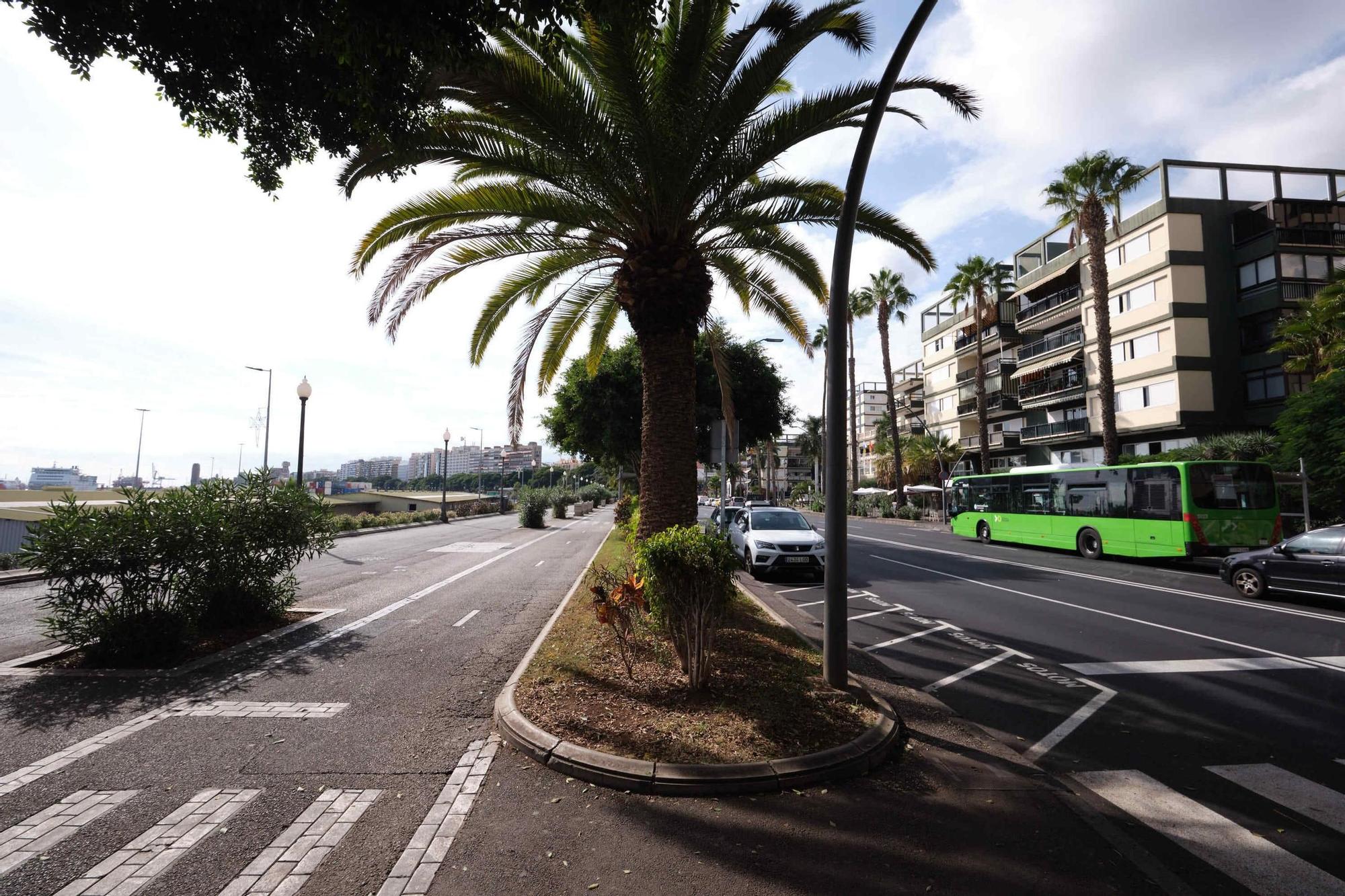 Presentación de proyectos vinculados a la mejora de la avenida de Anaga