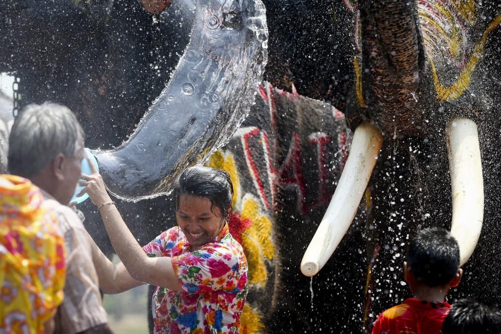 Una mujer arrojando agua a un elefante en el festival