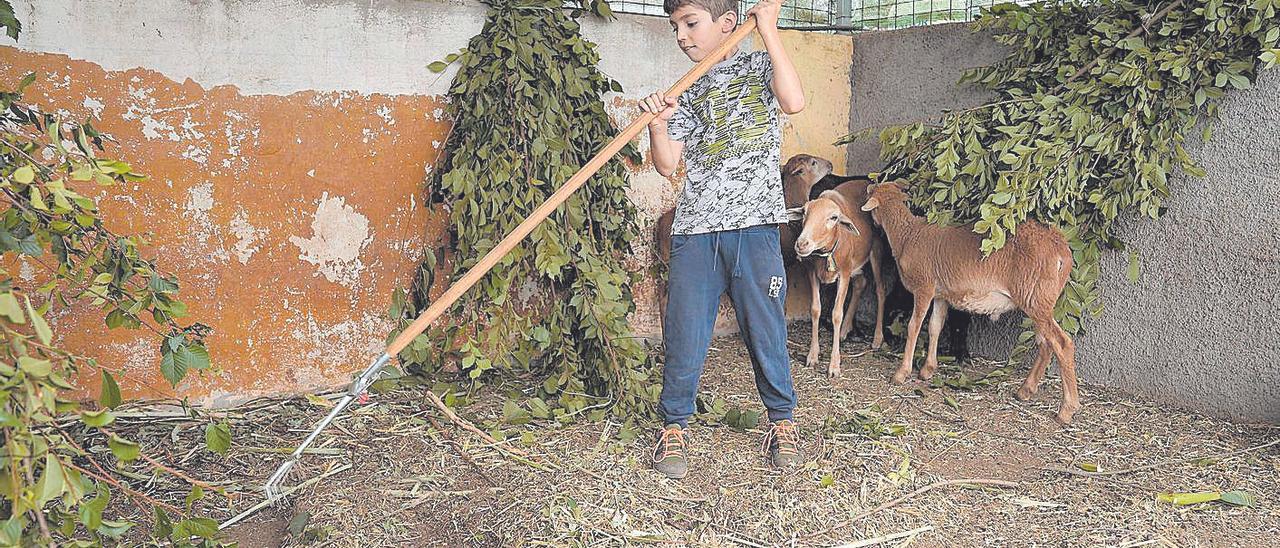 130 niños aprenden tareas agrícolas y ganaderas en un campus de verano